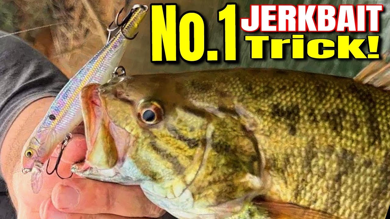 The 1 Trick You Need to Catch Bass FAST in Fall