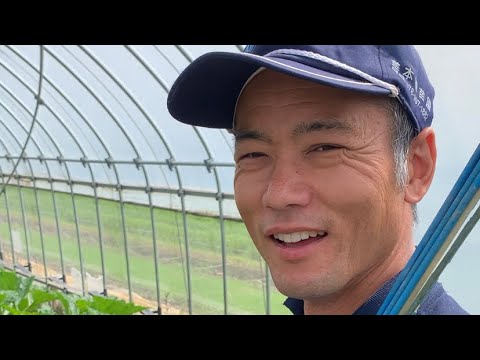 神戸でみのる式無農薬稲苗作り⑧-1育苗編 発芽不揃いでテンション激