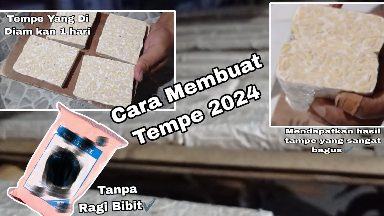PRODUKSI TEMPE MASAKINI 2024 | MUDAH DI IKUTI