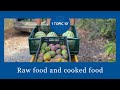 Raw food and cooked food  1 topic 10  raw adventure by mimi  jacky