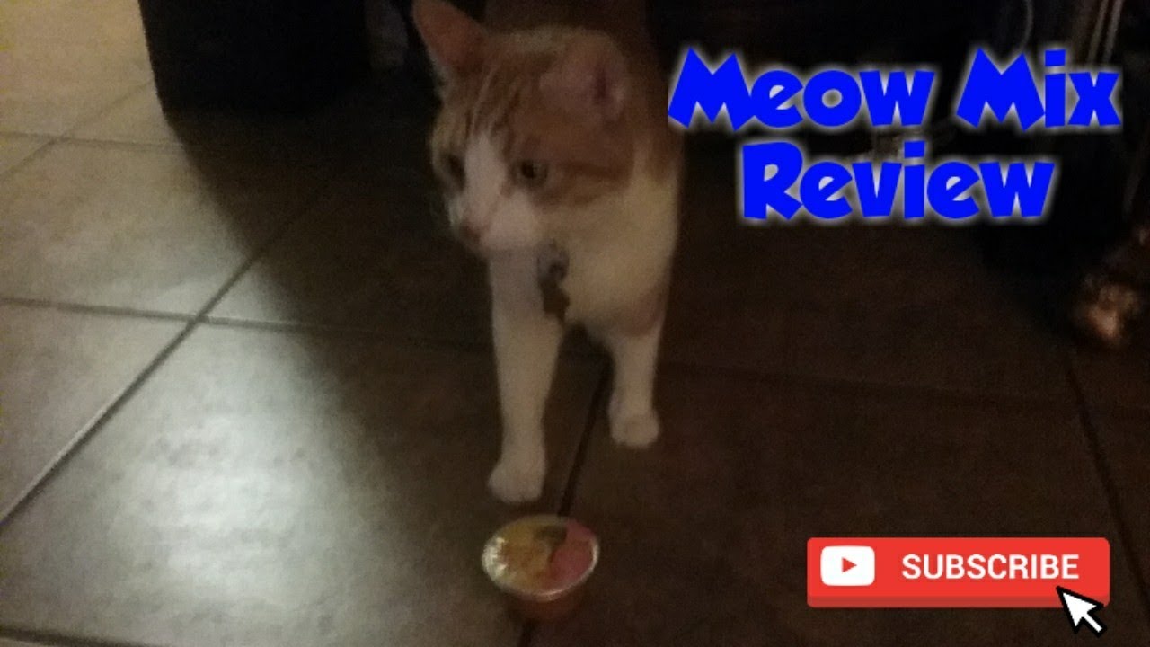 JuanTheTalkingCat Review- Meow Mix Review