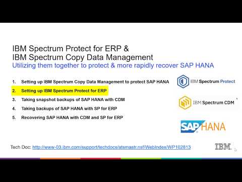 IBM SP for ERP & CDM with SAP Hana - Setting up SP for ERP - Demo