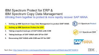 IBM SP for ERP & CDM with SAP Hana - Setting up SP for ERP - Demo screenshot 2