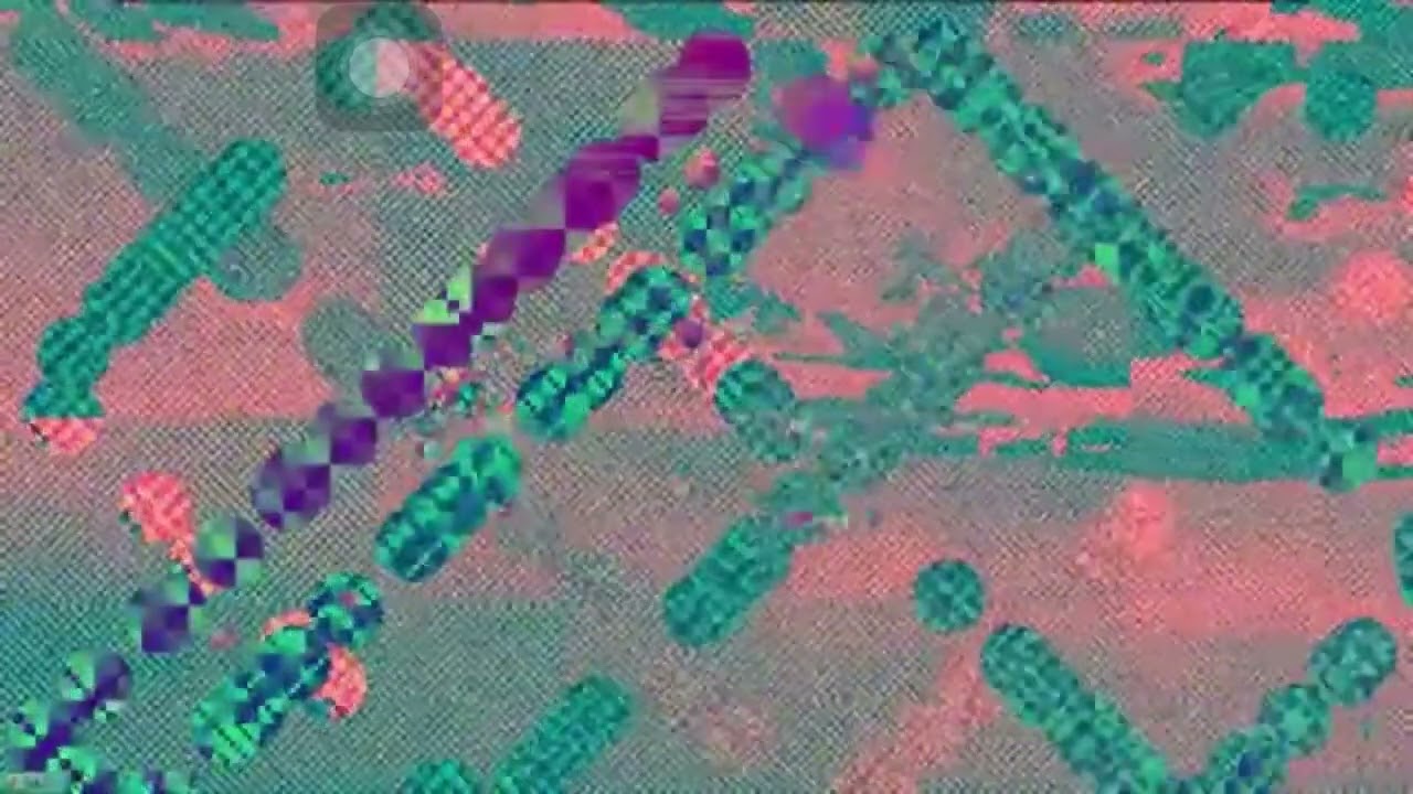 Salinewin.exe(Reverse)