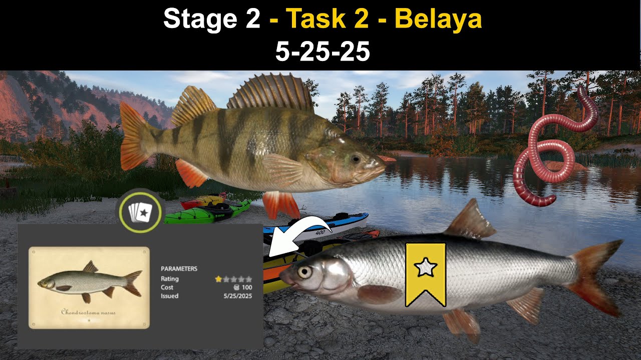 Russian Fishing 4, Stage 2 - Task 2 - Belaya 5-25-25 - YouTube