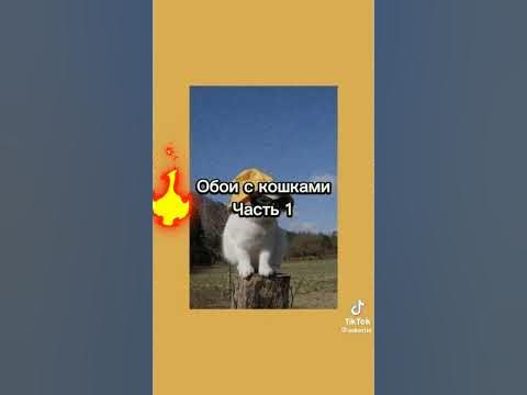 абои на телефон - YouTube