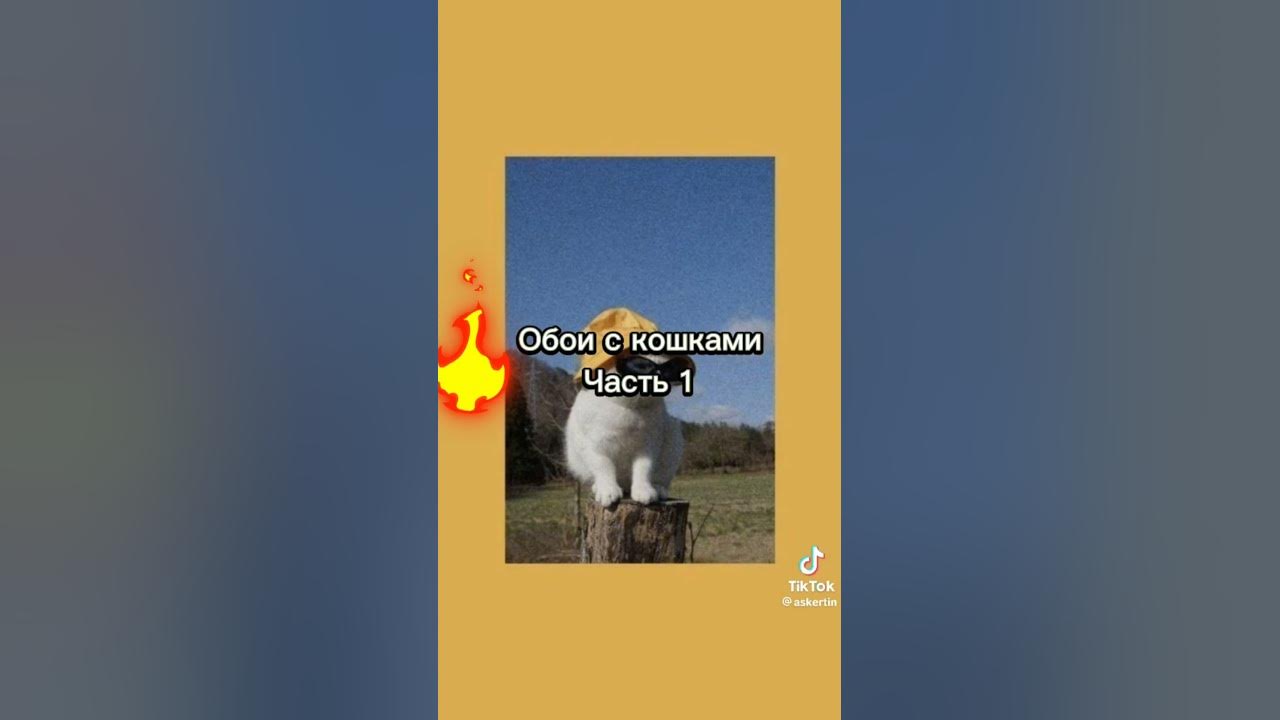 абои на телефон - YouTube