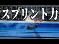 スプリント力を鍛えたい男ゆうま　#swimming #競泳 #あおもり国スポ