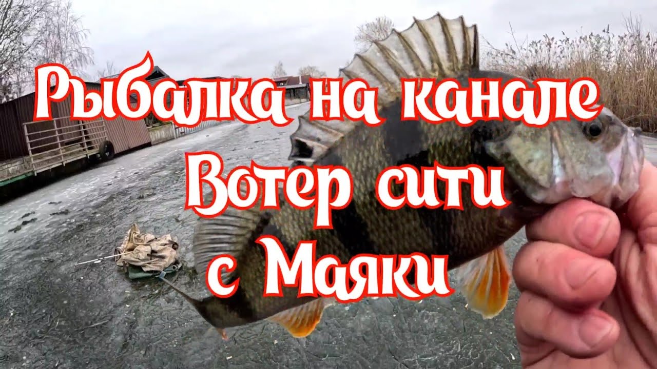 Рыбалка на канале "Вотер сити " с Маяки 17 февраля 2026 г.