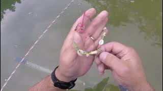 Gold Ring & Gold Coin?  Water Detecting Finds 3 Rings  PAdigger at the PA Lake