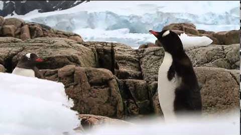 Students on Ice Antarctic 2014: The Beauty of Antarctica