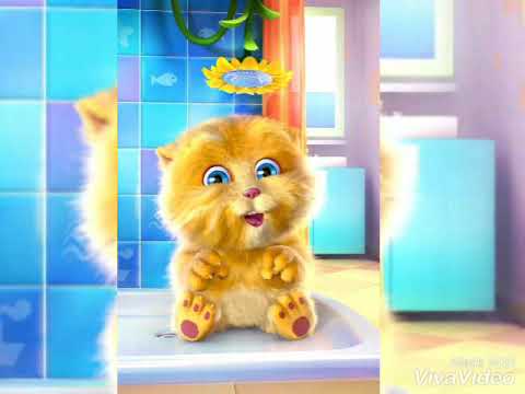 Valobaso Kina Baso Bondhu Try Koro Amare  Cute Cat