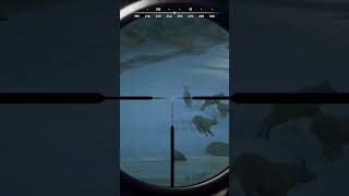 Drop shots (Way of the Hunter) #callofthewild #wayofthehunter #huntinggames