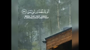 كَلَّا إِذَا بَلَغَتِ التَّرَاقِيَ | عبد الرحمٰن مسعد | تلاوة أكثر من رائعة