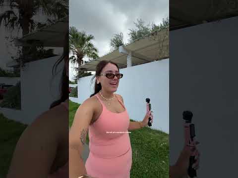 Cirdan (Cicera’s Icewater x Sabina/Sandro Hit) 3 jumping clips