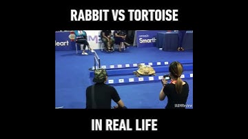 Rabbit and Tortoise Races in Real Life - Guess Who will win ?