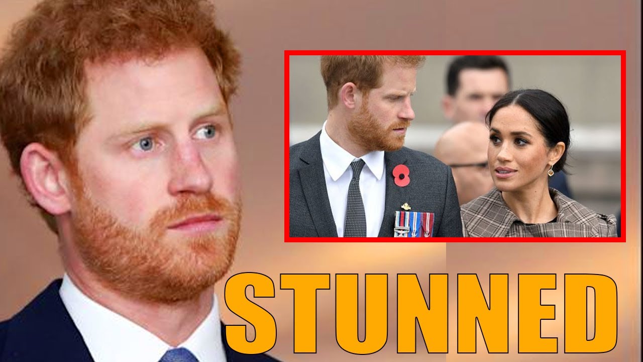 EAT THE TRICK! Prince Harry Fell Back After Receiving His Son Archie's DNA Results