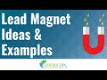 What is a Lead Magnet? Lead Magnet Ideas and Examples
