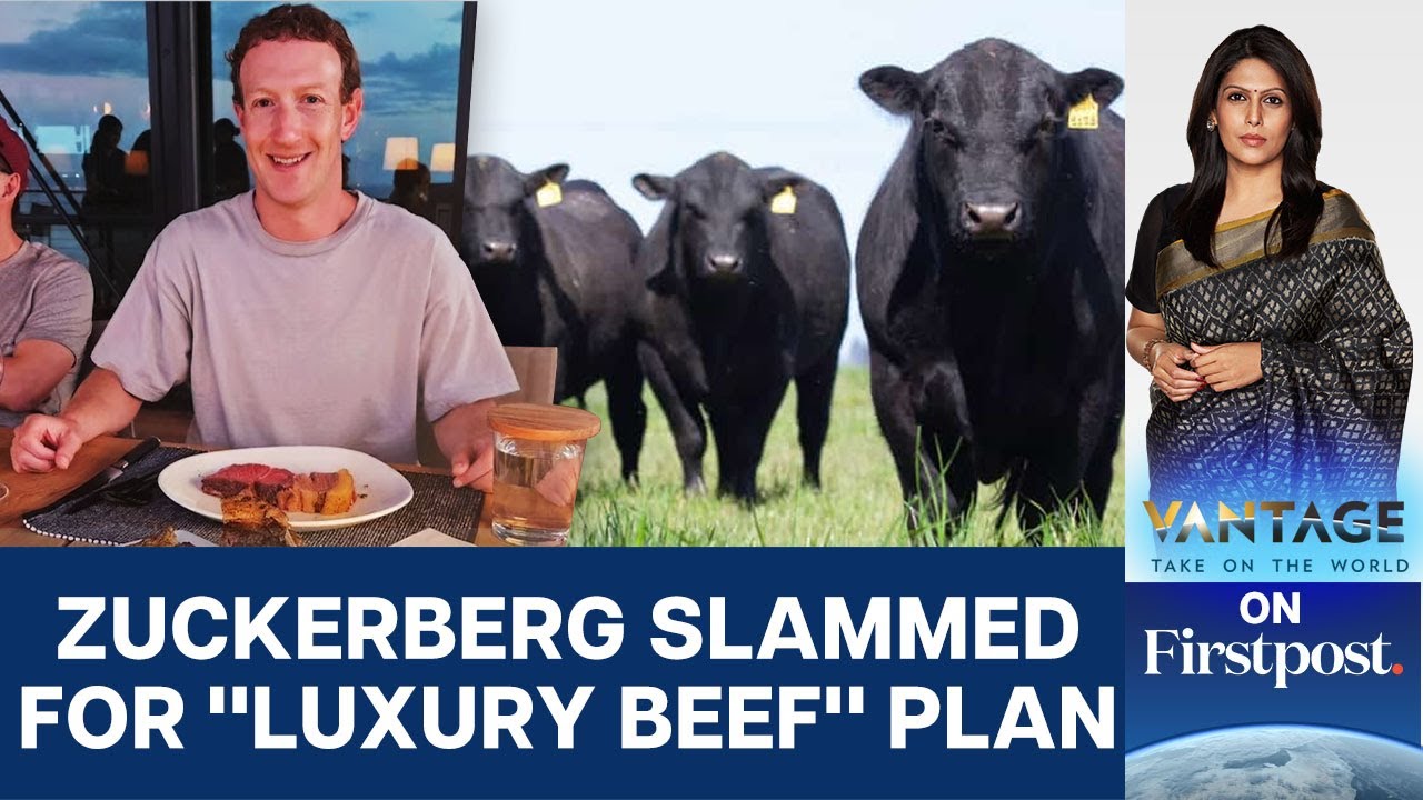 Read more about the article Zuckerberg’s New Project: Macadamia & Beer Raised “Luxury Beef” | Vantage with Palki Sharma – Firstpost