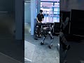 The robot that may reach real warehouse work before humanoids is balancing on two