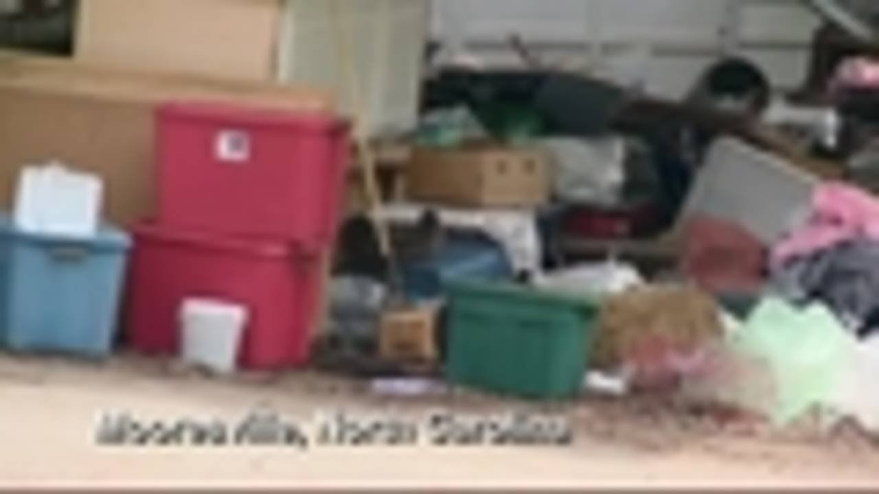 90 cats removed from woman's home