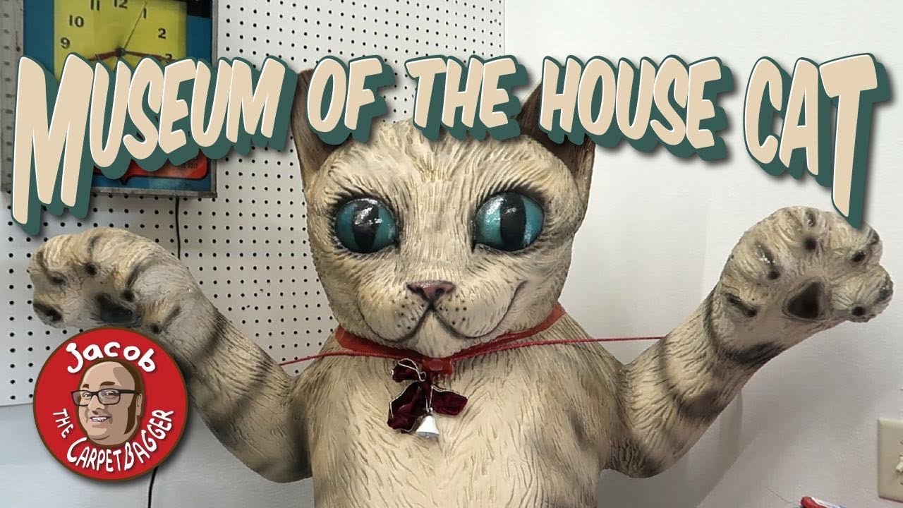 The American Museum of the House Cat New Location! YouTube The American Museum of the House Cat New Location! YouTube