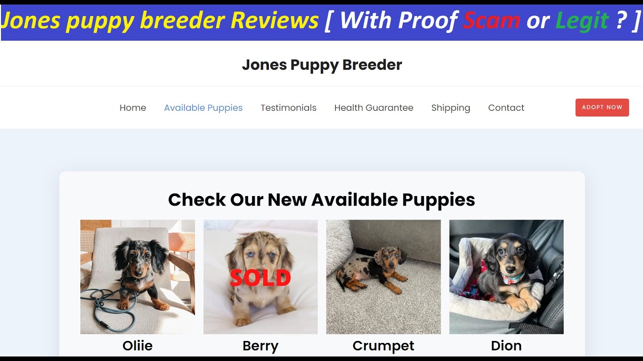 Jones puppy breeder Reviews [ With Proof Scam or Legit