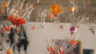 Chinese-Born Artist Ma Li Makes Treasure from Trash | KQED Arts