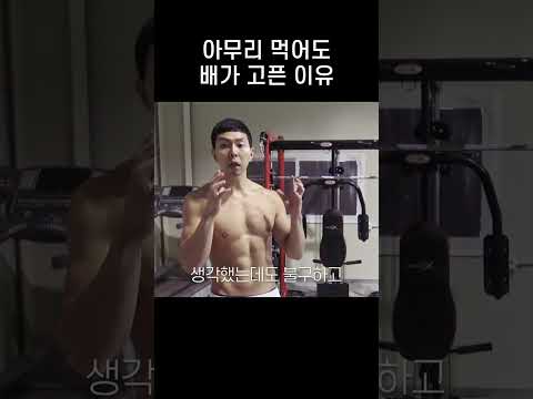 다이어트 실패하는 <strong>이유</strong> <strong>BEST</strong>