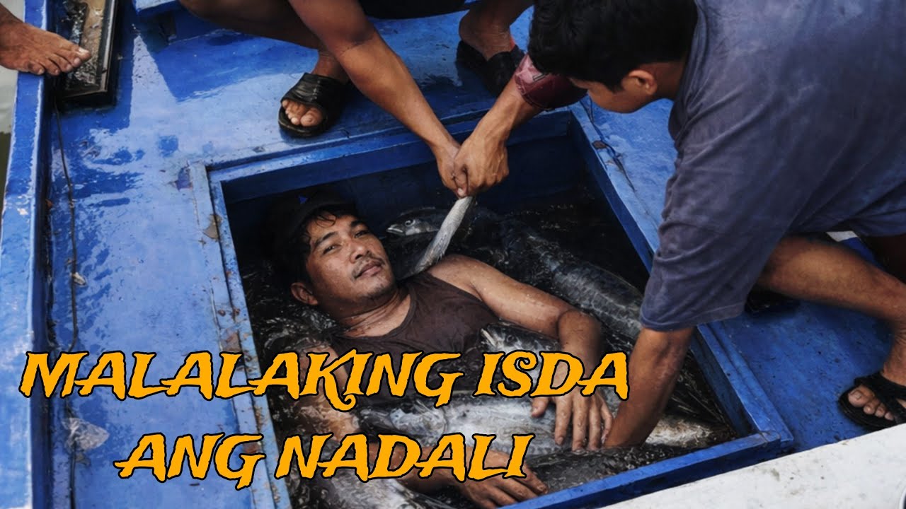 NADALI NANAMAN ANG MGA MALALAKING ISDA 