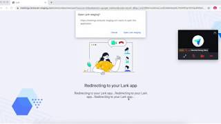 Lark app demo video- Google Drive magic share screenshot 2