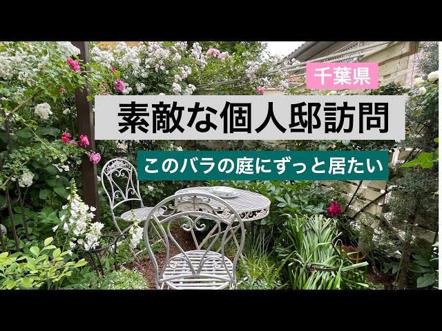 随時募集中❣️あなたの家も薔薇庭に♪ 素敵なお庭を作ってみませんか？ Private Residence] DIY doubles the charm! I want to stay in this