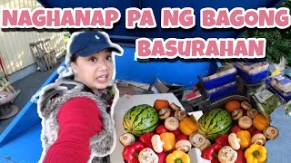 NAGHANAP NA NAMAN NG BAGONG BASURAHAN | DUMPSTER DIVING IN FINLAND | Thai-Finnish Pero Pusong Pinay
