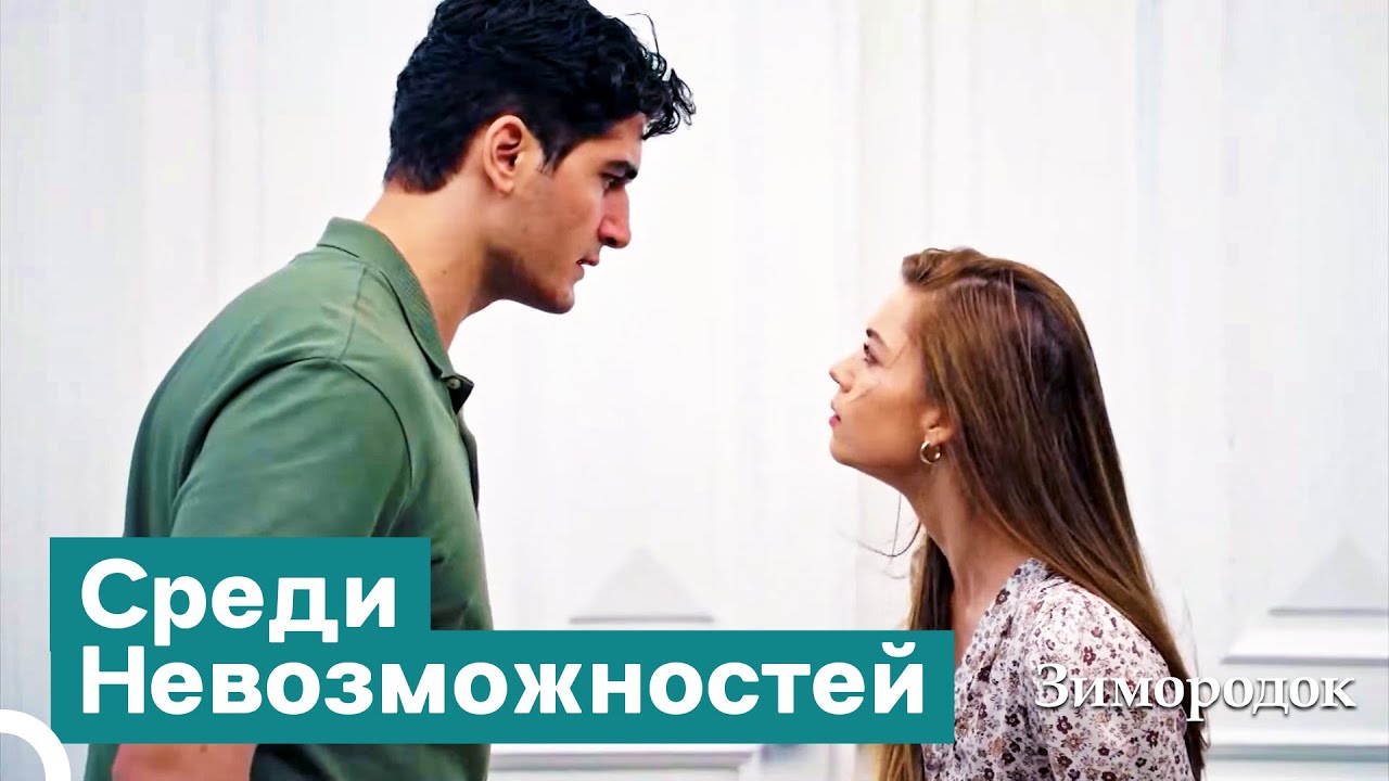 Несмотря На Все, Мое Сердце Бьется с Тобой | Зимородок