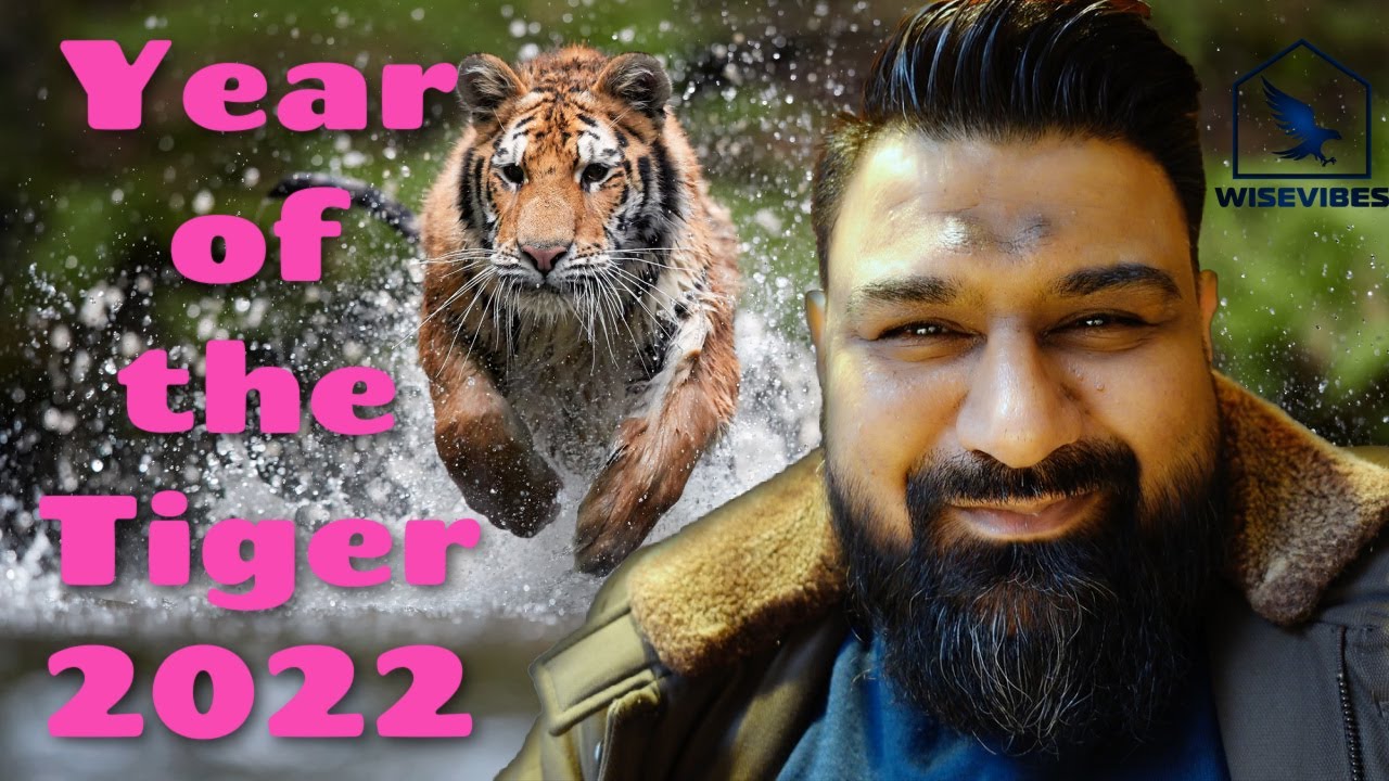 YEAR OF THE TIGER 2022 | Wisevibes #9