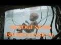 XenoGenesis Biomechanical: Fragments of a Broken God