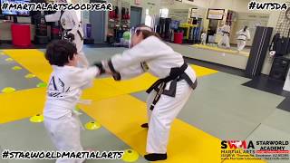 Tiny Tigers and Youth practice a variety of karate skills via Zoom and in the studio!