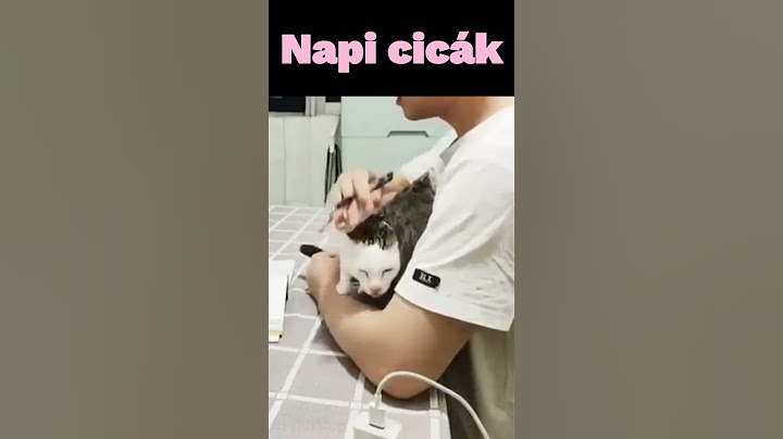 napi cuki cicás video