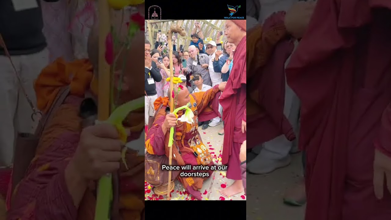 The Official Song of Walk for Peace (feat. T.N.L) touches the hearts of so many | Beautiful Song 