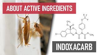 What is Indoxacarb? [New Broad-Spectrum Insecticides]