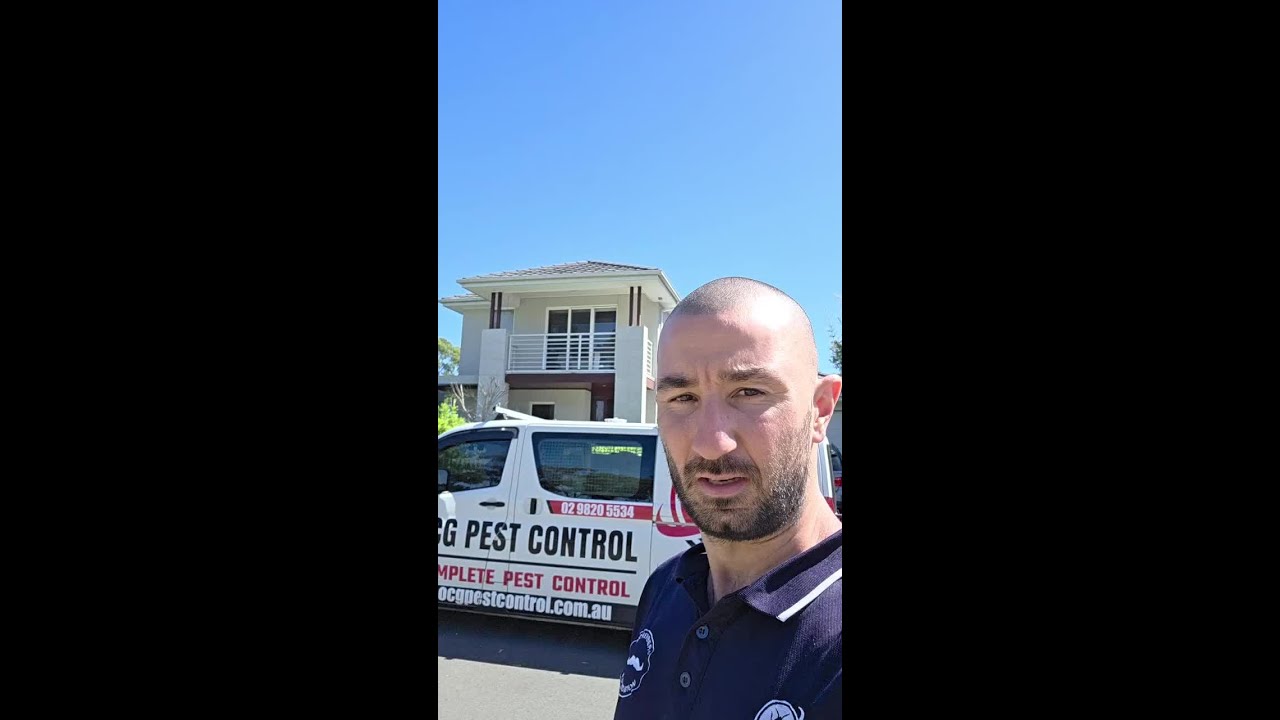 OCG Pest Control - Termite Control
