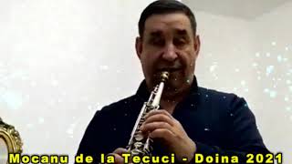 Video thumbnail of "Mocanu din Tecuci - Doina Ascultare Pentru Toti Banatenii 2021"