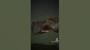 Lore Video 3 #darkfantasy #gamedev