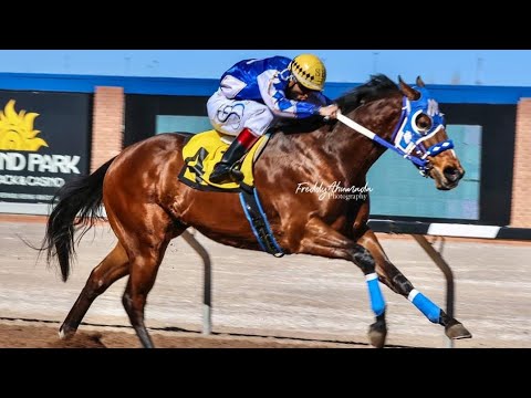 Casino.sk | celý film | HD