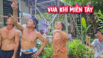 Vua khỉ cùng đệ T.ử leo cùng 1 cây để hỗ trợ nhau cưa cây Xà Cừ cực khó (1/2)...