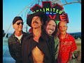 Red Hot Chili Peppers - Le live tiktok animé par Waxx et C.Cole