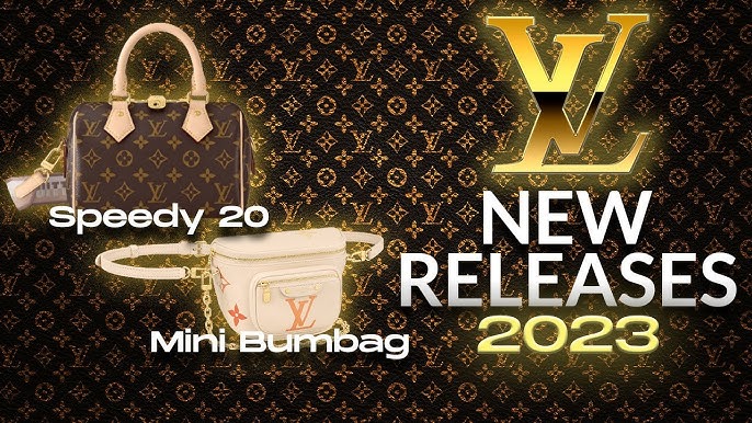 LV Mini Soft Trunk M44735 in 2023  Bumbag louis vuitton, Trunk bag, Lv bag