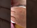 ライブ ハイライト