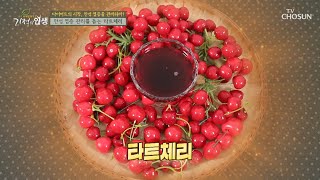 만성염증과 항산화 효과에 좋은 ❛타트체리❜ TV CHOSUN 20220312 방송  | [기적의 인생] 91회 | TV조선