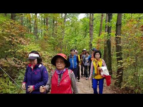 평행선-김종규(원곡.김수찬) 운문사. 사리암에서